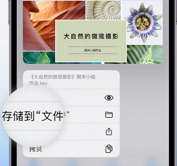 罗田apple维修中心分享iPhone文件应用中存储和找到下载文件