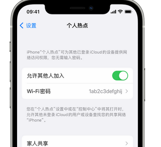 罗田apple服务站点分享iPhone上个人热点丢失了怎么办 