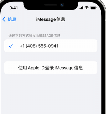 罗田apple维修iPhone上无法正常发送iMessage信息 