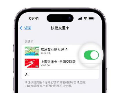 罗田apple维修点分享iPhone上更换Apple Pay快捷交通卡手绘卡面 