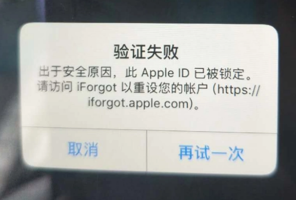 罗田iPhone维修分享iPhone上正常登录或使用AppleID怎么办 