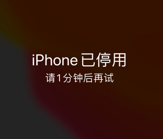 罗田苹果手机维修分享:iPhone 显示“不可用”或“已停用”怎么办？还能保留数据吗？ 