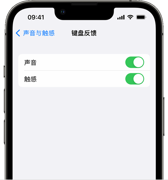 罗田苹果14维修店分享如何在 iPhone 14 机型中使用触感键盘 