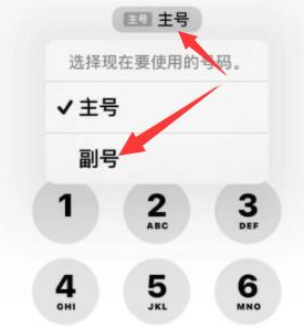 罗田苹果14维修店分享iPhone 14 Pro Max使用副卡打电话的方法 