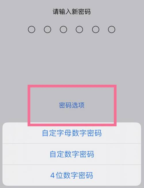 罗田苹果14维修分享iPhone 14plus设置密码的方法 