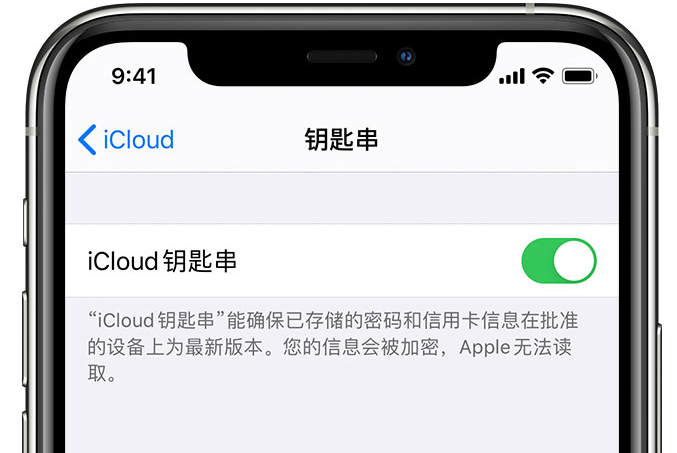 罗田苹果手机维修分享在 iPhone 上开启 iCloud 钥匙串之后会储存哪些信息 