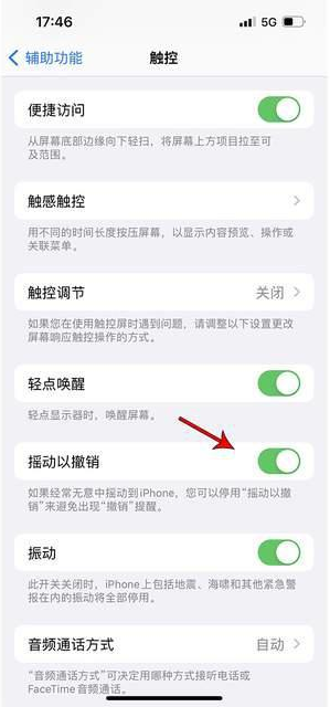 罗田苹果手机维修分享iPhone手机如何设置摇一摇删除文字 