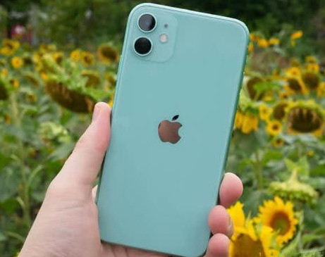罗田苹果维修点分享iPhone 11锁屏密码认知与使用科普 